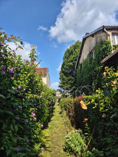 Maison a louer saint-germain-en-laye - 4 pièce(s) - 97 m2 - Surfyn