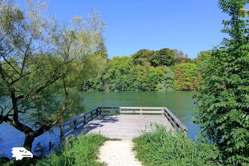 Appartement a louer ris-orangis - 3 pièce(s) - 106 m2 - Surfyn