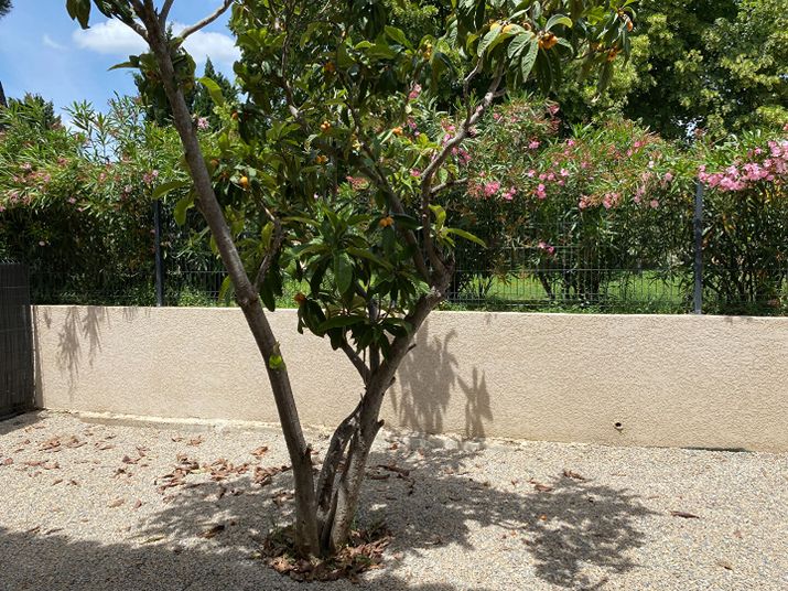 Maison a louer salon-de-provence - 4 pièce(s) - 86 m2 - Surfyn