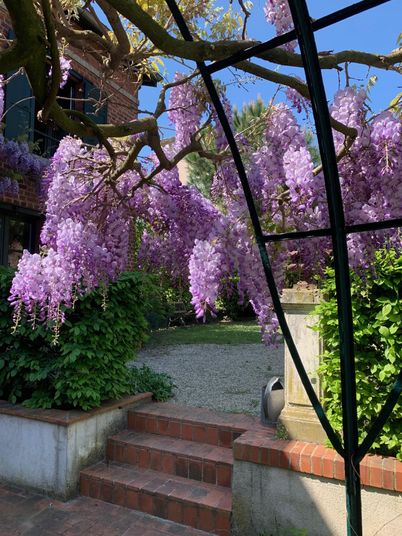 Maison a louer colombes - 2 pièce(s) - 52 m2 - Surfyn