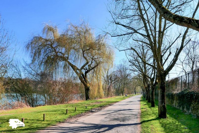 Appartement a louer ris-orangis - 3 pièce(s) - 106 m2 - Surfyn