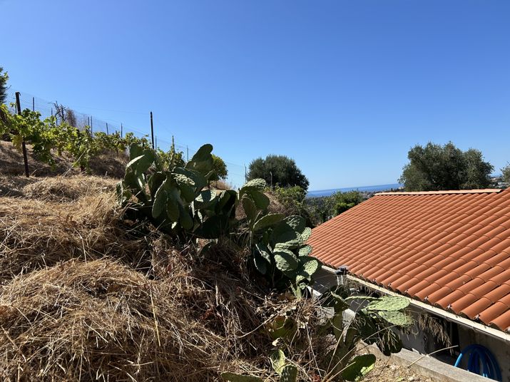 Maison a louer nice - 3 pièce(s) - 63 m2 - Surfyn