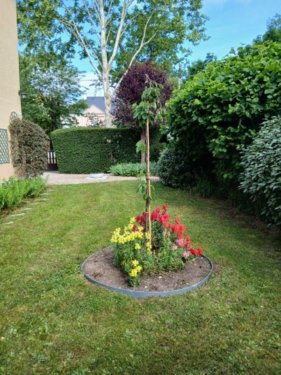 Maison a louer maisons-laffitte - 5 pièce(s) - 92 m2 - Surfyn